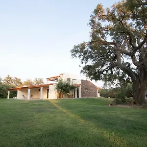 Su Suberju Gasthof San Teodoro (Sardinia)